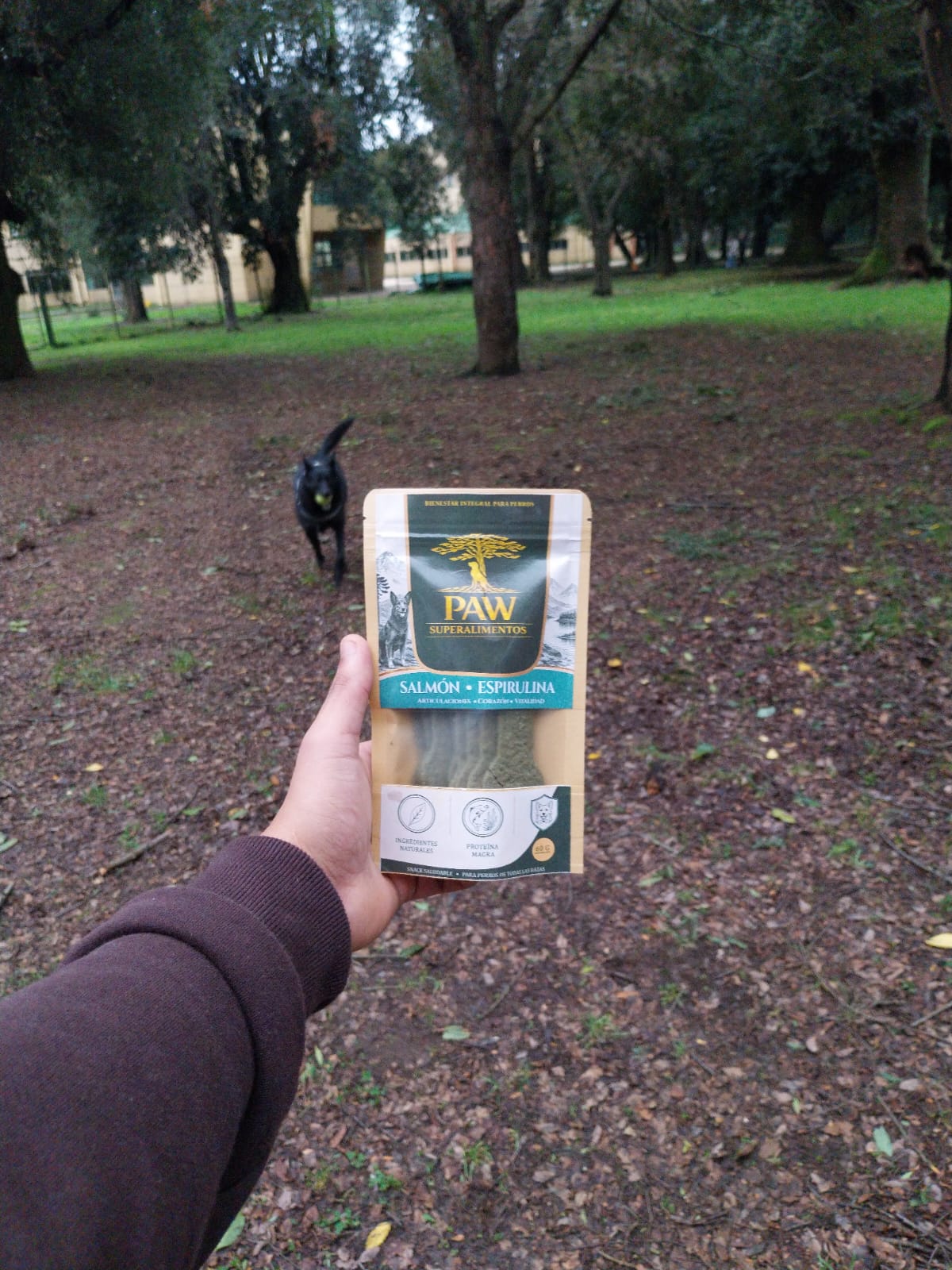 Las ferias de La Araucanía